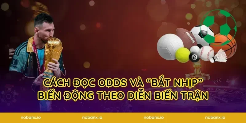 Cách đọc odds và “bắt nhịp” biến động theo diễn biến trận